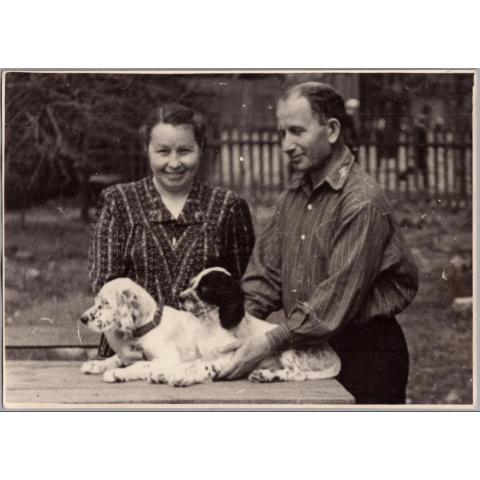 Фото СССР Щенки охотничьей собаки 1955 г.