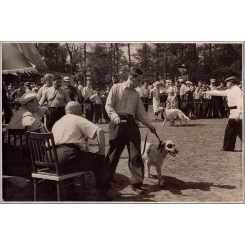 XXV Юбилейная Московская выставка охоты и охотничьего собаководства 1950 г.