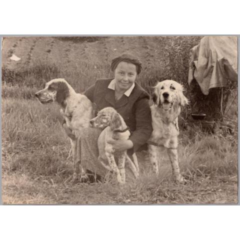 Фото СССР Заводчица с охотничьими собаками 1950 г.